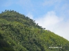 diegodeocampo - 04